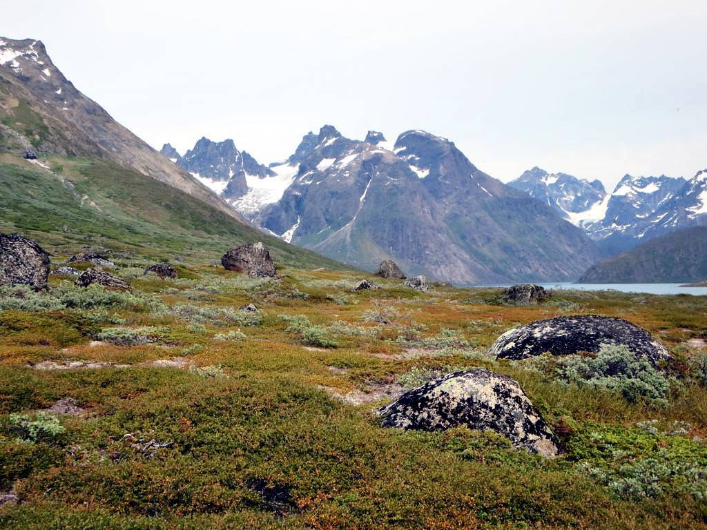 Slope off Tasermiut Fjord by D-Stanley is licensed under CC BY 2.0.